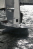 Fireball Inlands 2010, photo 39