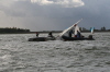 Fireball Inlands 2010, photo 56