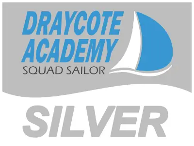 Academy silver badge graphic